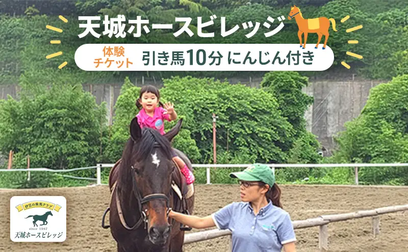 天城ホースビレッジ 施設利用券 引き馬10分（にんじん付き） 体験チケット 