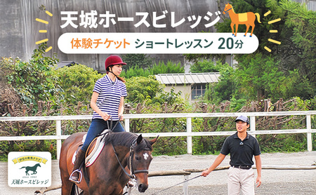 天城ホースビレッジ 施設利用券 ショートレッスン20分 体験チケット 
