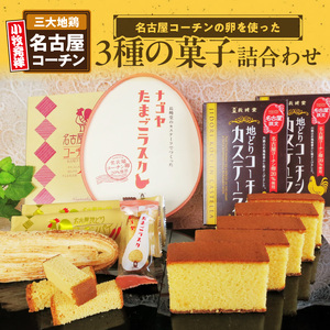 長﨑堂コーチン菓子詰合わせ 名古屋コーチンスイーツ 日本三大地鶏 小牧市発祥[008N01]