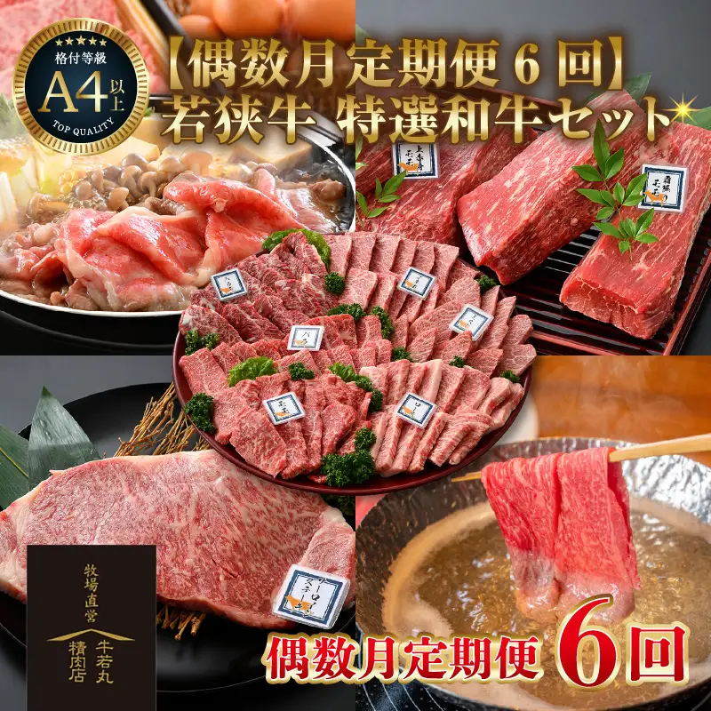 【偶数月定期便6回コース】若狭牛 特選和牛セット（焼肉・モモブロック・ステーキ・しゃぶしゃぶ・すき焼き） ／ 国産 牛肉 ブランド牛 贅沢 A4 A5 ギフト [aw009-r001]