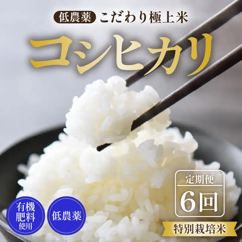 【先行予約】【令和8年産 新米】《定期便》5kg×6回 30kg 特別栽培米 コシヒカリ 低農薬 《食味値85点以上！こだわり極上米》 / 福井県 あわら 北陸 米 お米 人気 高品質 鮮度抜群 新米 ※2026年9月中旬より順次発送 [aw032-j006]
