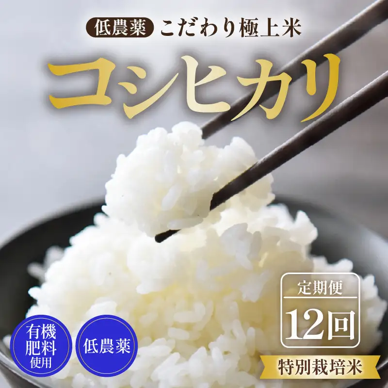 【先行予約】【令和8年産 新米】《定期便》5kg×12回 60kg 特別栽培米 コシヒカリ 低農薬 《食味値85点以上！こだわり極上米》 / 福井県 あわら 北陸 米 お米 人気 高品質 鮮度抜群 新米 ※2026年9月下旬より順次発送 [aw032-o006]