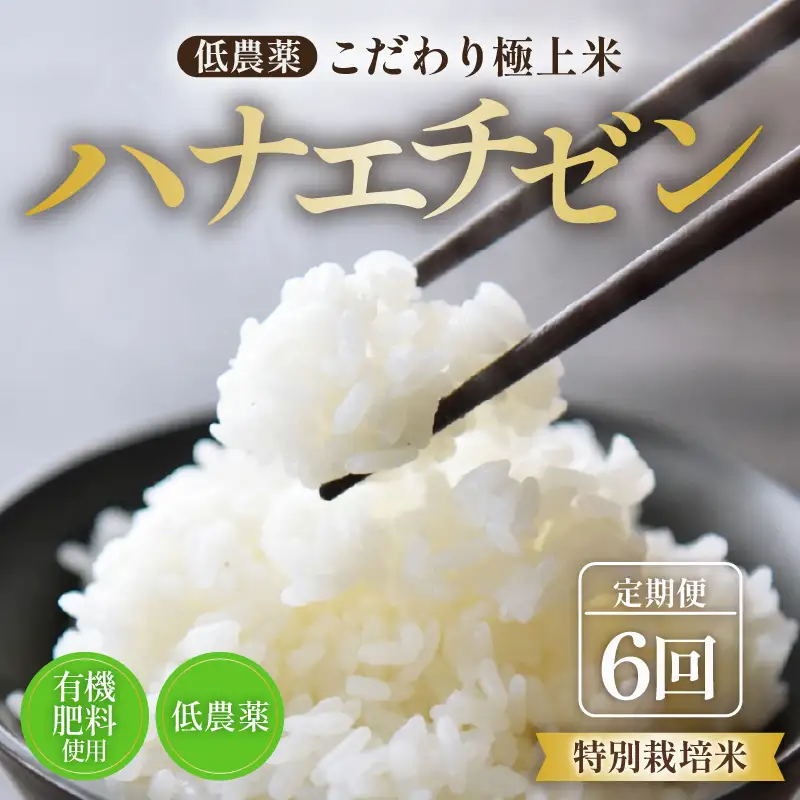 【先行予約】【令和8年産・新米】《定期便》特別栽培米 ハナエチゼン 低農薬 5kg×6回 30kg 《食味値85点以上！こだわり極上米》 / 福井県 あわら 北陸 米 お米 人気 ※2026年9月中旬以降順次発送 [aw032-i004]