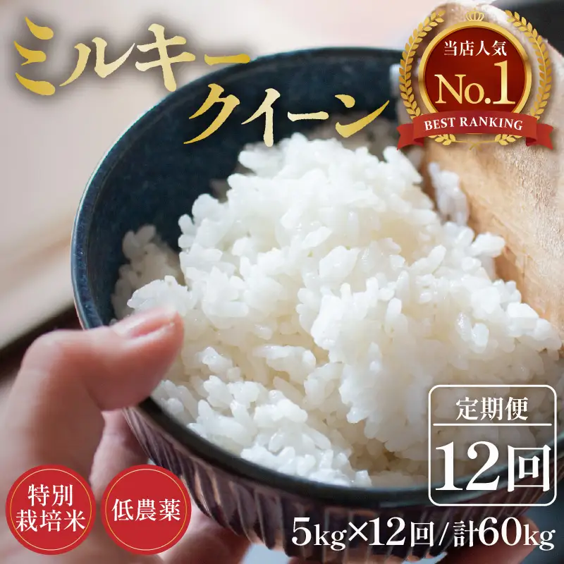 【先行予約】【令和8年産 新米】定期便《12ヶ月連続お届け》5kg×12回 60kg 特別栽培米 ミルキークイーン 精米 低農薬 《食味値85点以上！こだわり精米》 / 福井県 あわら市 北陸 米 お米 人気 白米 精米 ※2026年9月下旬より順次発送 [aw032-o005]