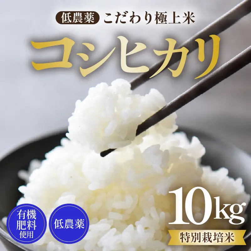 【先行予約】【令和8年産 新米】特別栽培米 コシヒカリ 10kg 低農薬 《食味値85点以上！こだわり極上米》 / 福井県 あわら 北陸 米 お米 人気 高品質 鮮度抜群 新米 ※2026年9月上旬より順次発送 [aw032-c009]