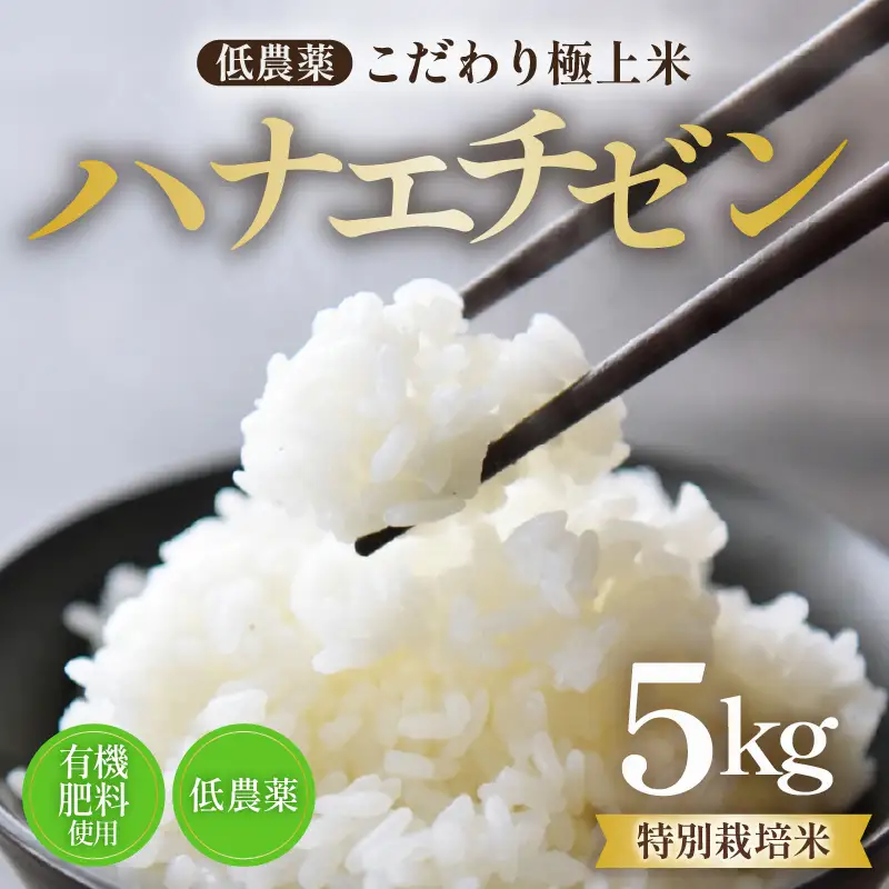 【先行予約】【令和8年産・新米】特別栽培米 ハナエチゼン 5kg  低農薬 《こだわり極上米》 / 福井県 あわら 北陸 米 お米 人気 ※2026年9月上旬以降順次発送 [aw032-a017]