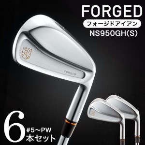 HIA-02-04アイアン　#5～Pw(NS)　480BE04N.／軟鉄鍛造 フォージド アイアン 国産 ゴルフクラブ　藤本技工