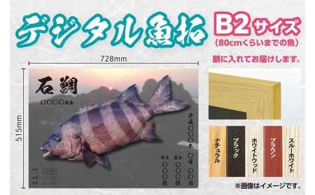 CM-015 【B２・デジタル魚拓】メモリアルフィッシュを釣れたてのままに。