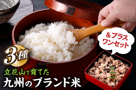 BH005.立花山で育てた九州のブランド米・味くらべ＆プラスワンセット（数量限定商品）