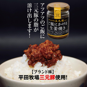 SZ0247　【平田牧場三元豚使用】ご飯にかける生姜焼き　計1個(80g×1個)