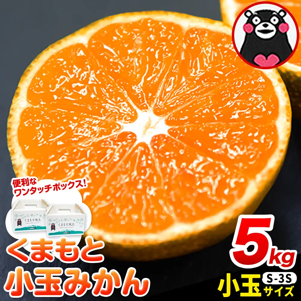 訳あり くまもと小玉みかん 約5kg みかん