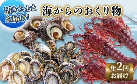 【アワビについて注意事項あり】海鮮セット 定期便 年2回 水産 伊勢海老 刺身 おかず