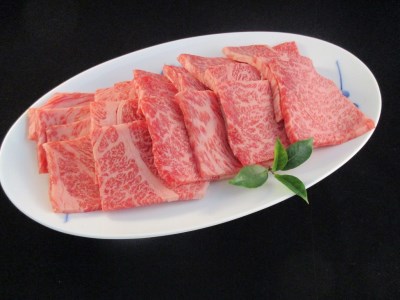 A5 A4 佐賀牛 肩ロース 焼肉用 500g 117-J2107