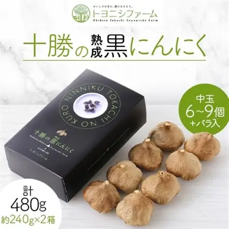 黒にんにく レギュラー (中玉6～9個+バラ入) ×2箱 計480g_野菜 にんにく・生姜 根菜 ニンニク にんにく しょうが ショウガ_【1205011】