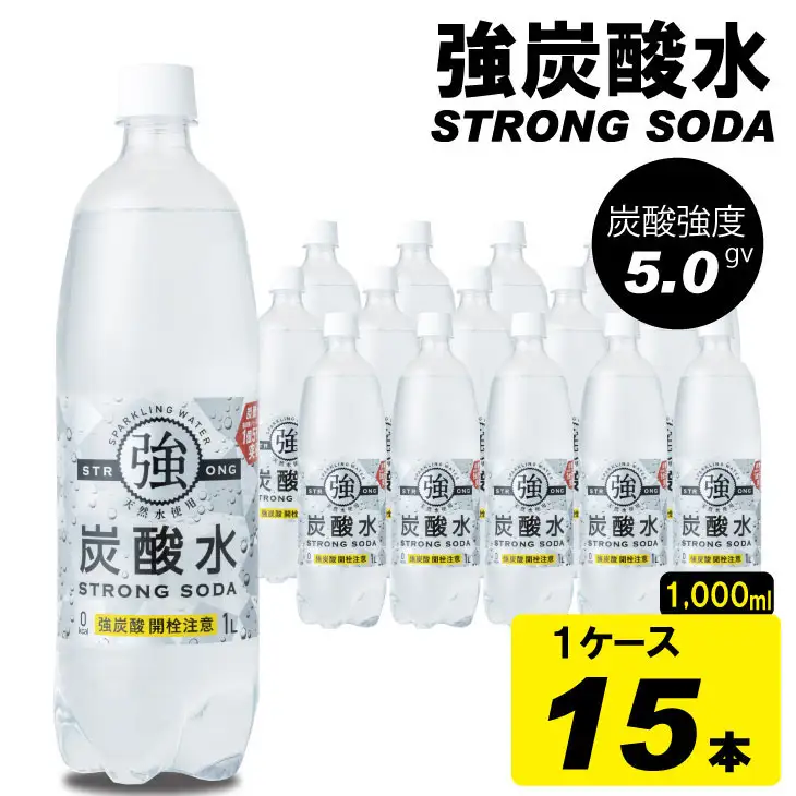 強炭酸水 1L×15本 炭酸 飲料 A060-007