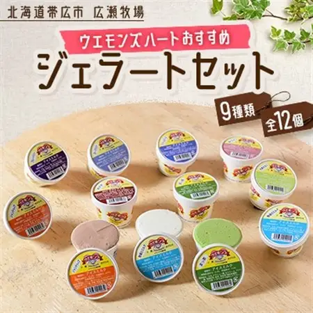 ウエモンズハートおすすめ　ジェラートセット(9種類 全12個)_菓子・スイーツ アイス・ジェラート  _【配送不可地域：離島】【1205880】