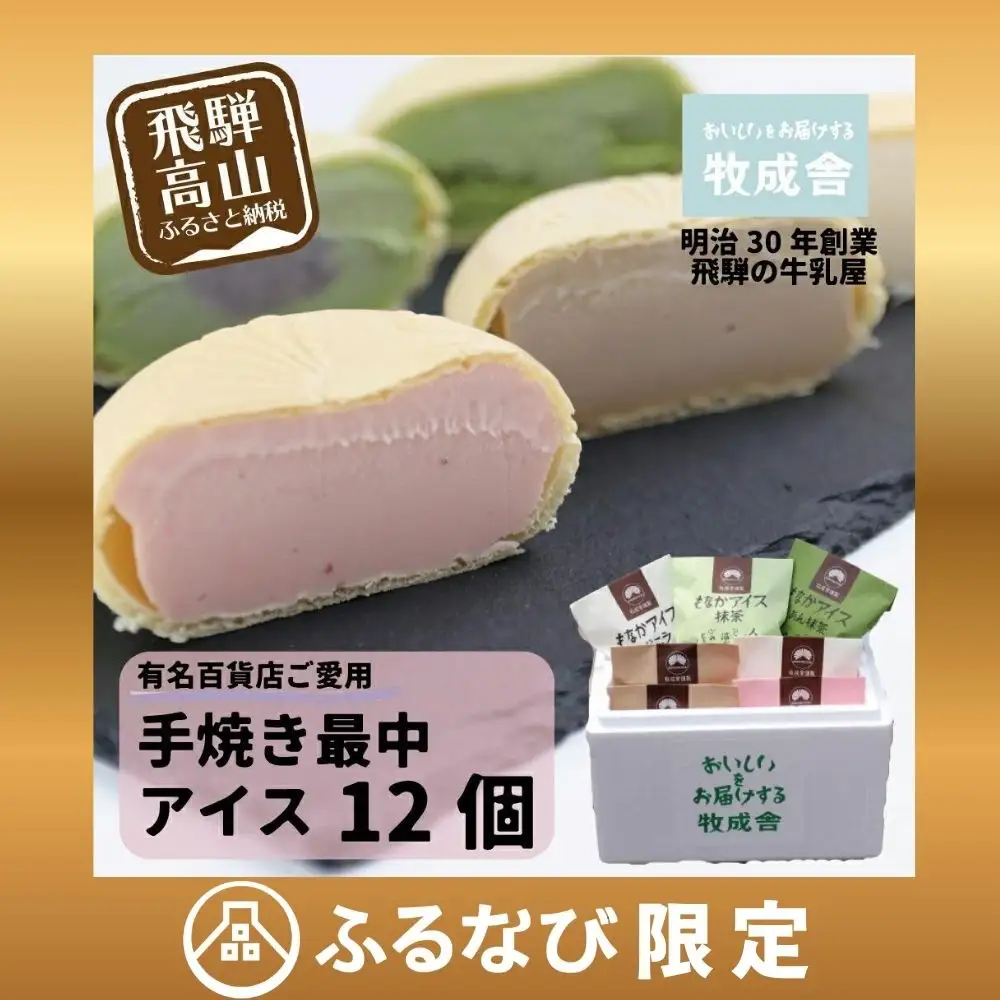 最中アイス 12個 アイスクリーム |  DF019-CP01  FN-Limited-PR
