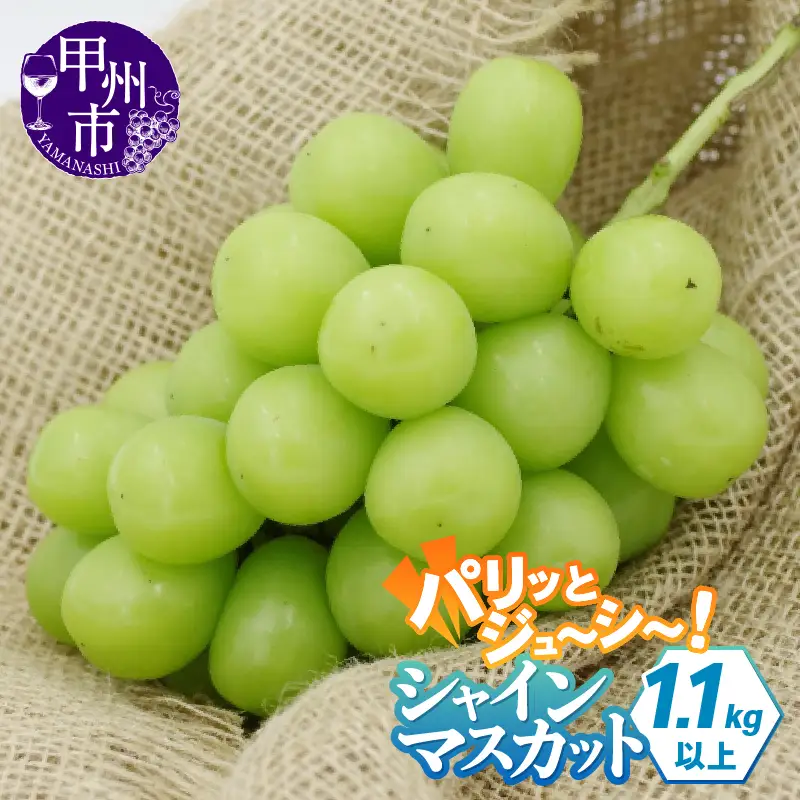 パリッとジューシー甲州市産シャインマスカット1.1kg以上【2026年発送】（TMK）B-420 シャインマスカット フルーツ