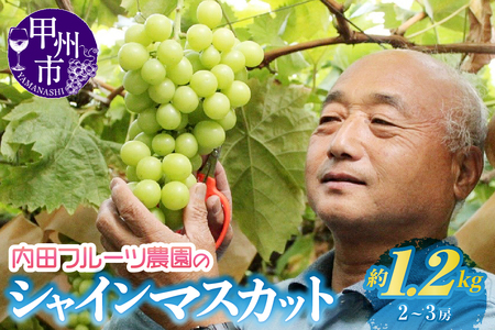 内田フルーツ農園のシャインマスカット 約1.2kg（2～3房）【2026年発送】（UF）B-164 桃 フルーツ