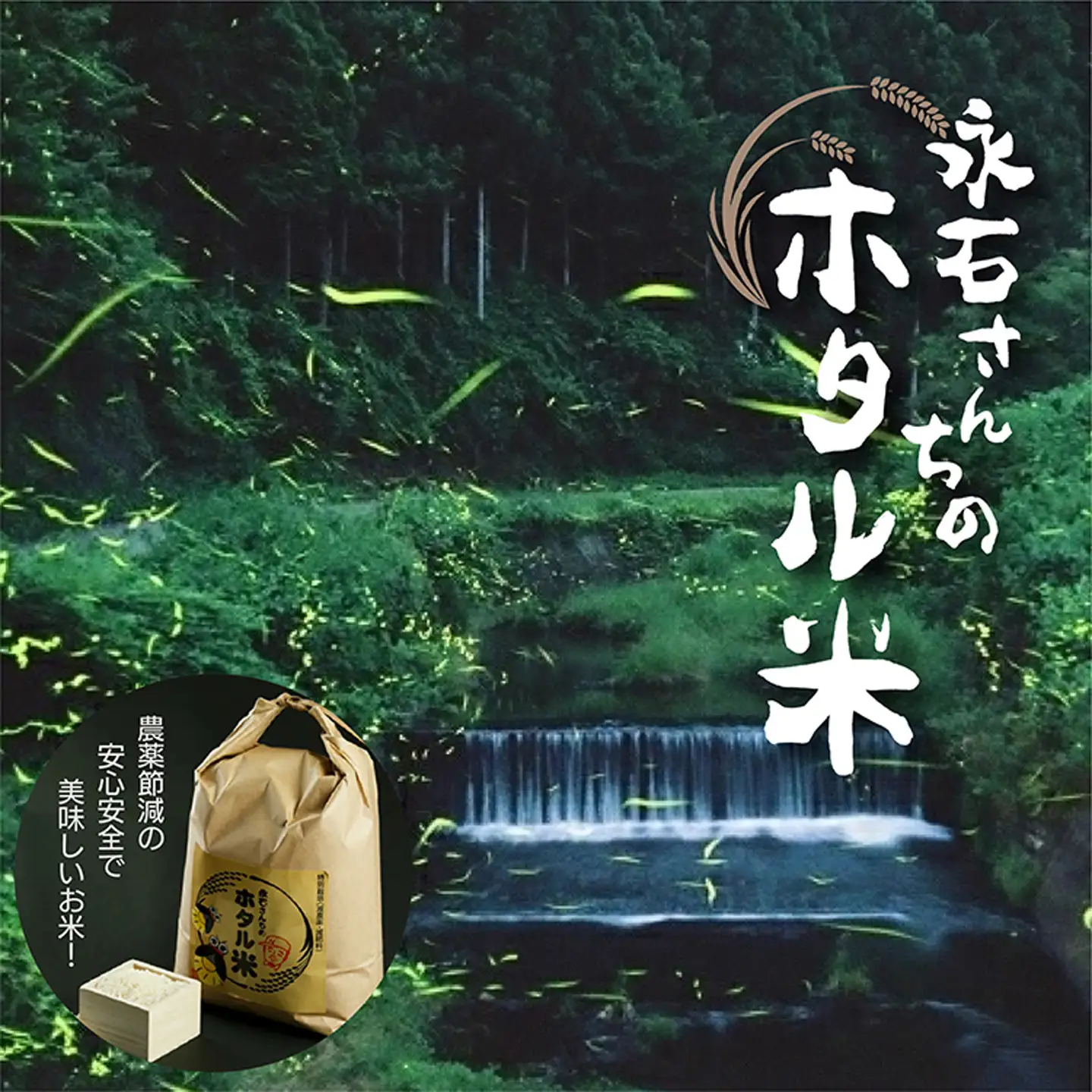 【令和7年産】さがびより 精米10kg（5kg×2袋）ホタル米 永石さんちのお米 _z-60