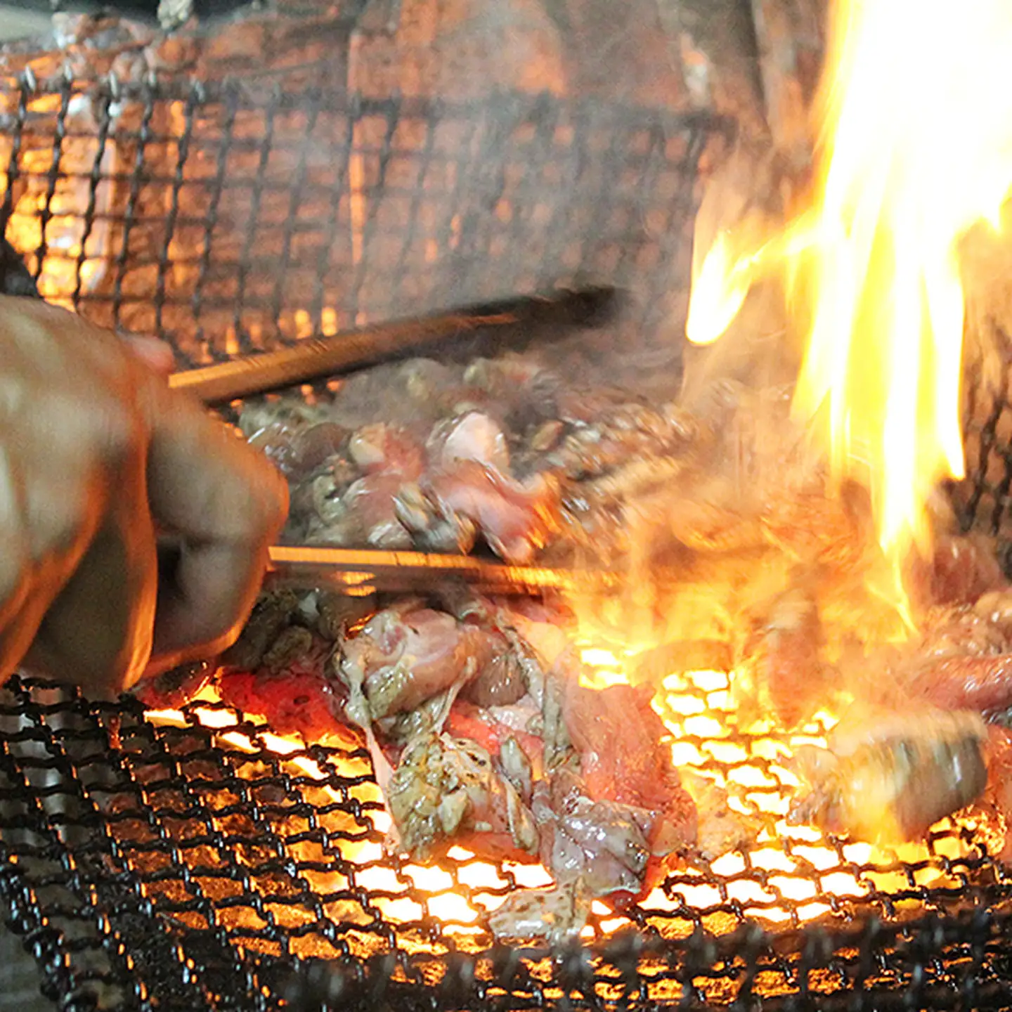 まこっちゃん うまうま焼き鳥Aセット：A090-016