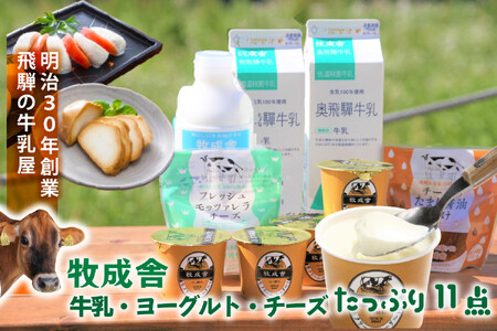 【飛騨乳製品バラエティセット】牛乳・ヨーグルト・チーズ詰め合わせ　11点｜ヨーグルト 乳製品 デザート 朝食 セット 詰合せ 牧成舎 DF010