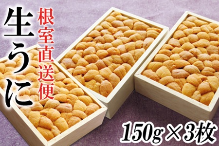 エゾバフンウニ150g×3折[5月中旬以降発送] F-40004