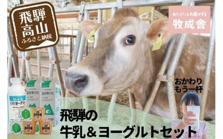 ＜牧成舎＞飛騨の牛乳屋のこだわり 牛乳＆ヨーグルト 乳製品4種 | 飲むヨーグルト 詰め合わせ  牧成舎 DF016VC13
