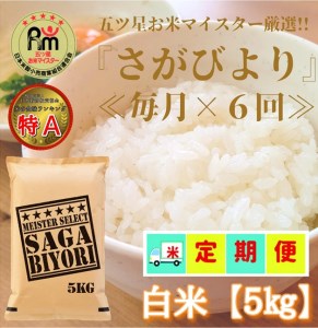 CID40_【６回定期便】さがびより白米５kg 【五つ星お米マイスター厳選！】