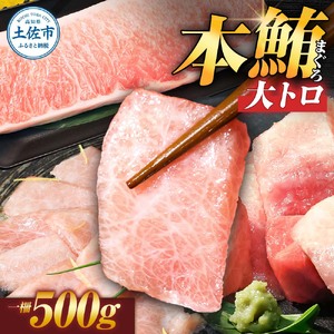 本マグロ 本鮪 大トロ500g トロ マグロ まぐろ 本まぐろ 刺身 刺し身 魚 天然 冷凍 美味しい おいしい 故郷納税 ふるさとのうぜい 返礼品 高知県 高知【株式会社大熊】 [BQAA035]