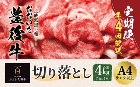 【定期便】おおいた豊後牛 切り落とし 1000g×4ヶ月 計4kg