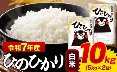 【令和7年産 白米】ひのひかり白米 10kg 精米