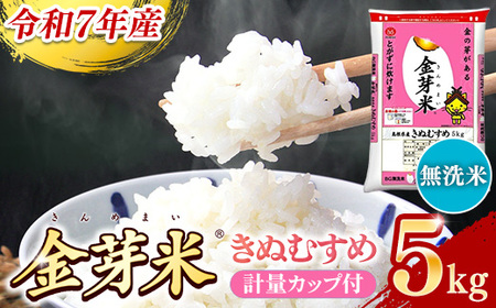 BG無洗米・金芽米きぬむすめ 5kg ［令和7年産］計量カップ付き【節水  健康 ビタミン ミネラル つや お弁当 おいしい うまみ 甘み ふっくら 時短 簡単 島根県 安来市】【価格改定XB】【15-SS-10】