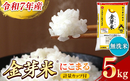 BG 無洗米 金芽米 にこまる 5kg 令和7年産 計量カップ付き 【価格改定XD】【15-SS-11】