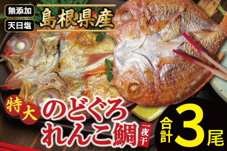 れんこ鯛と特大のどぐろ一夜干しセット【干物セット のどぐろ干物 1尾 261～290g れんこ鯛干物 2尾×161～180g 無添加 のどぐろ ノドグロ 特大 れんこ鯛 キダイ 干物 真空パック 父の日 母の日】