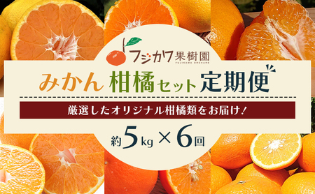 【6回 頒布会】みかん 定期便 6回 フルーツ フジカワ果樹園オリジナル（新季節の柑橘セット） 果物 