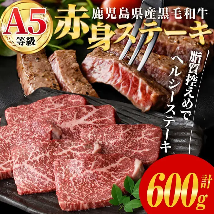 ステーキ 黒毛和牛 A5等級 赤身 ステーキ 600g 【カミチク】A228-v01
