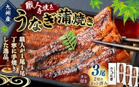＜職人手焼き九州産うなぎ 蒲焼き3尾（6切れ）計390g前後＞翌月末迄に順次出荷【c693_sk_x1】