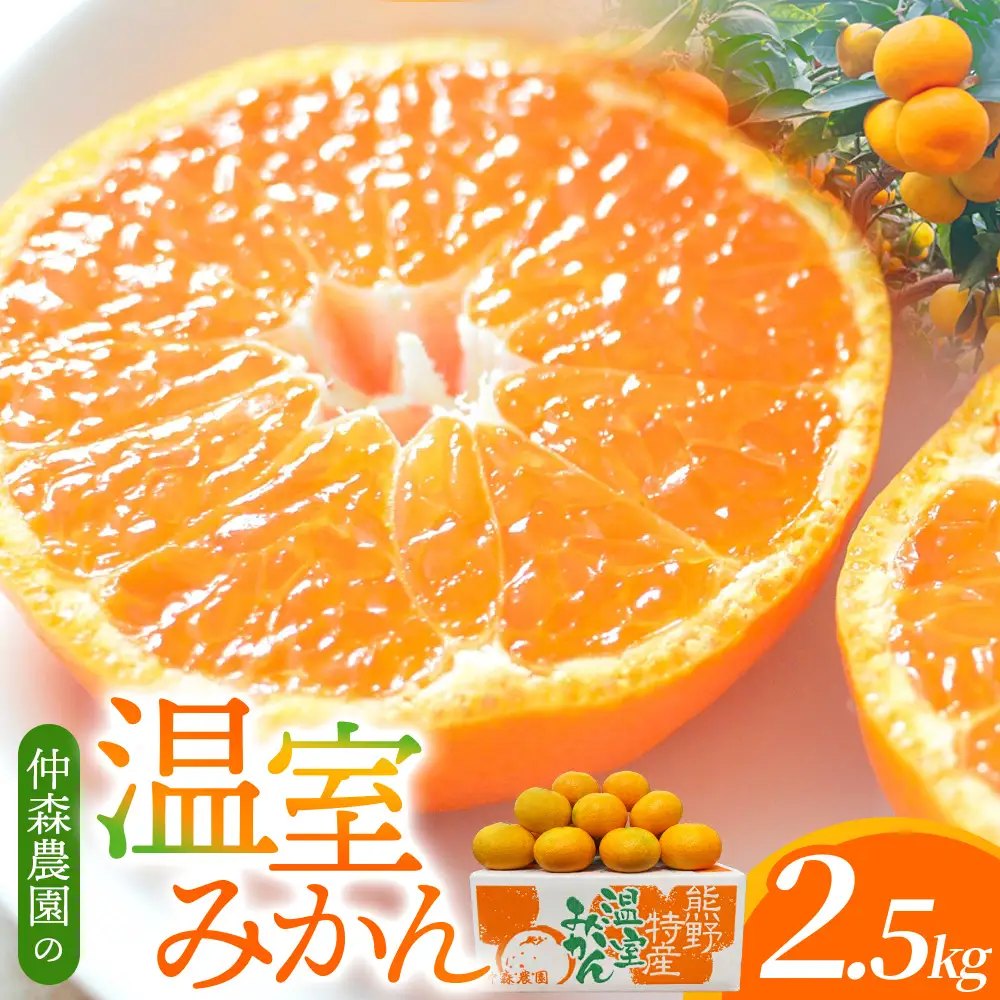 みかん 仲森農園の温室みかん 2.5kg【nkmr0001】