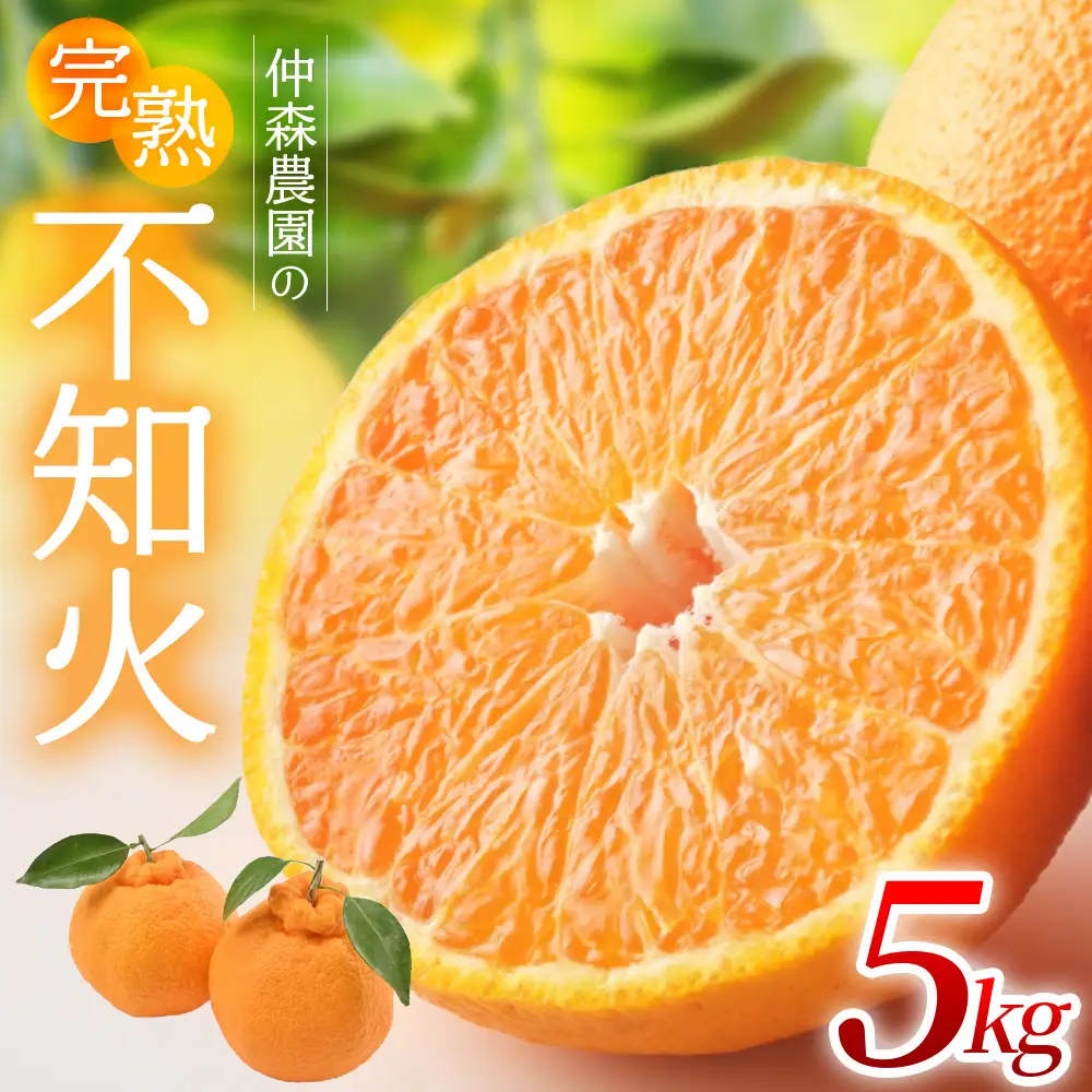 不知火 仲森農園の完熟不知火 5kg【nkmr0003】
