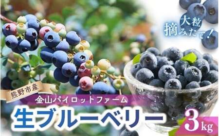 生果ブルーベリー 3㎏ ベリー【knpr0008A】