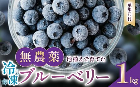 無農薬 ブルーベリー 冷凍 1kg ベリー【mnak0002A】
