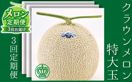 【メロン定期便】クラウンメロン（白等級）特大玉　1玉【3か月連続】 メロン青肉 フルーツ 3ヶ月 