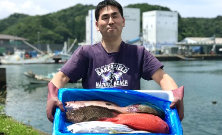新鮮土佐魚 詰合せセットC 海鮮 海鮮