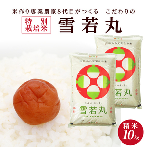 SC0675　【令和8年産 新米予約】［精米］特別栽培米 雪若丸　10kg(5kg×2袋)「農家直送」 KA