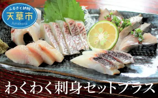 S059-009A_わくわく刺身セットプラス  / 刺身 刺し身 鮮魚 お刺身