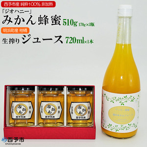 みかん蜂蜜「ジオハニー」170g×３瓶と柑橘生搾りジュース720ml×１本のセット USS0006