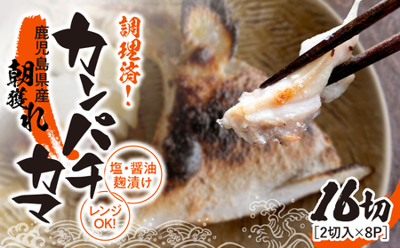 1277 調理済み！ カンパチ カマ 塩 ・ 醤油麹（ こうじ ）漬け 16切（ 焼タイプ ） KN037-002-02 魚