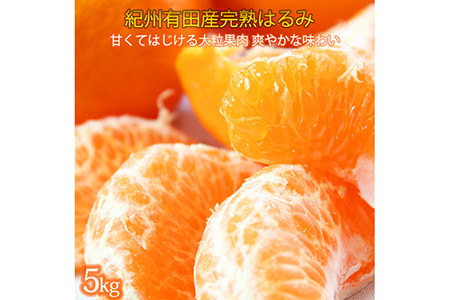 果肉ぷりぷり!完熟はるみ 5kg