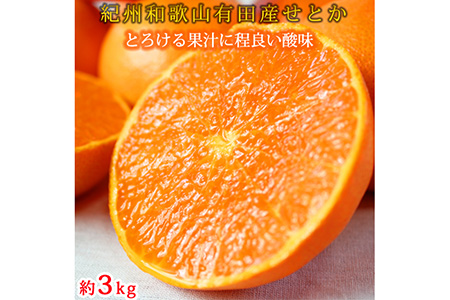 とろける食感!ジューシー柑橘 せとか 約3kg｜みかん ミカン 柑橘 果物 くだもの フルーツ せとか 甘い 先行予約 国産 産地直送 人気 美浜町